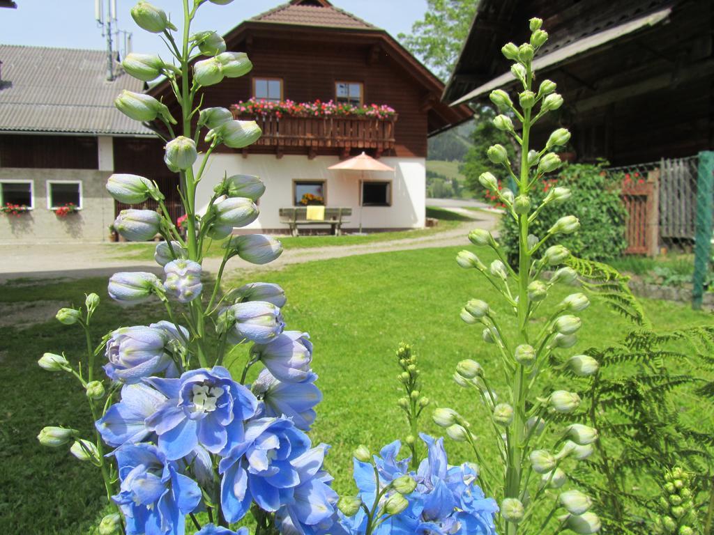Der Hoferbauer Apartamento Bad Kleinkirchheim Exterior foto
