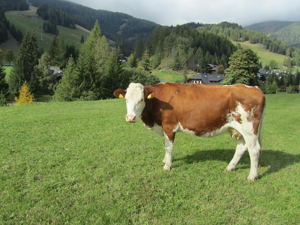 Der Hoferbauer Apartamento Bad Kleinkirchheim Exterior foto